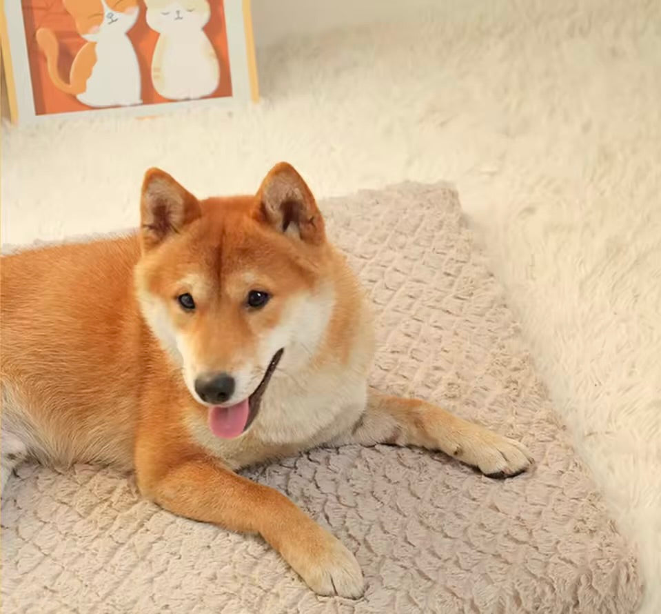 PetLounge Waterproof Sheet