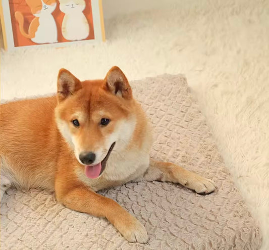 PetLounge Waterproof Sheet