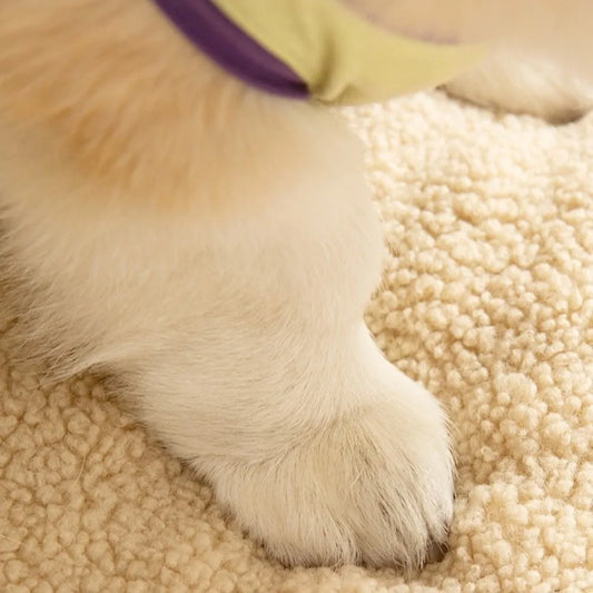 PetLounge Roll Out Pillow